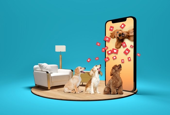 Pet-контент как белая зона инфлюенс-маркетинга